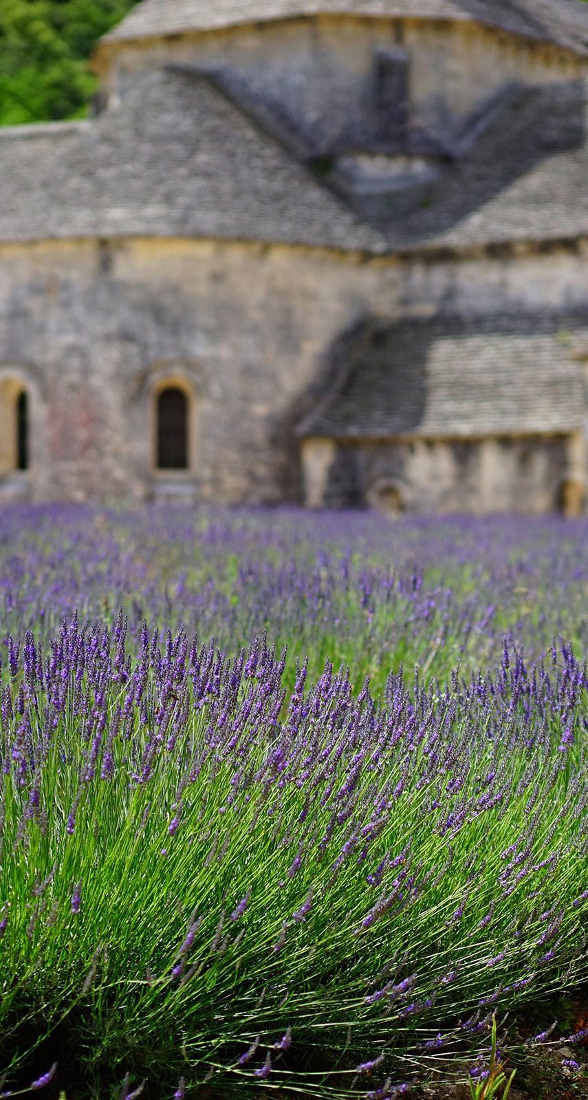 France Travel Guides