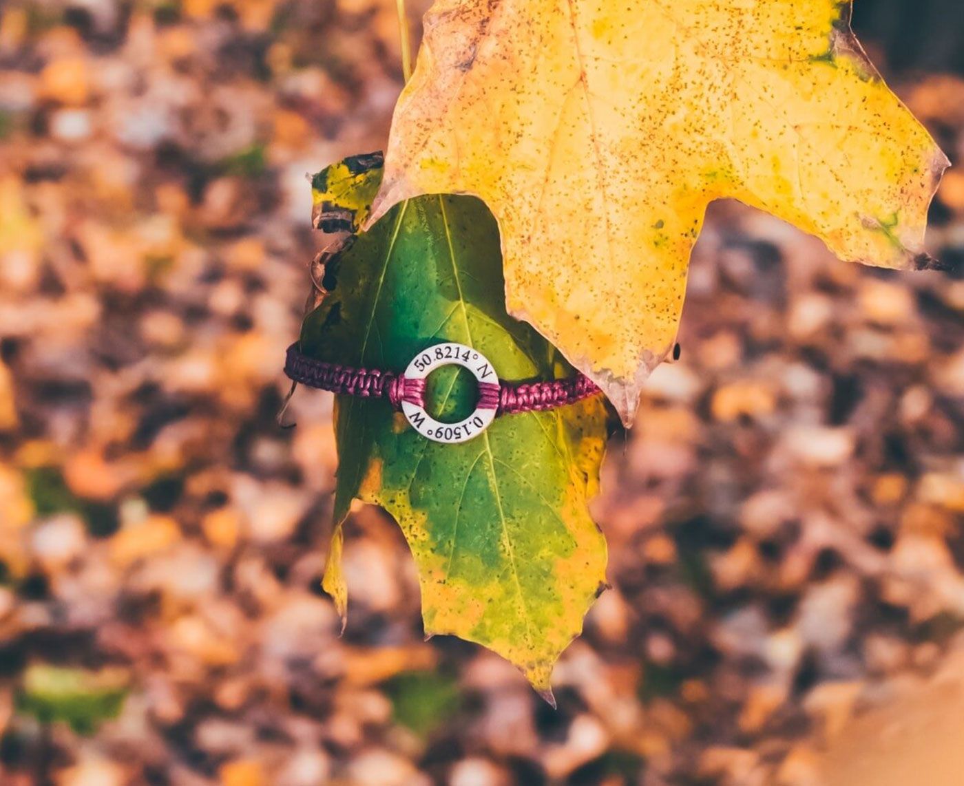 Life Less Ordinary Coordinates Disc Bracelet